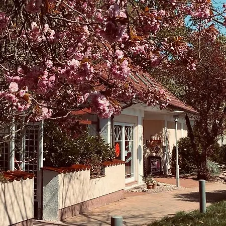 Salzoasen * Bad Schwartau