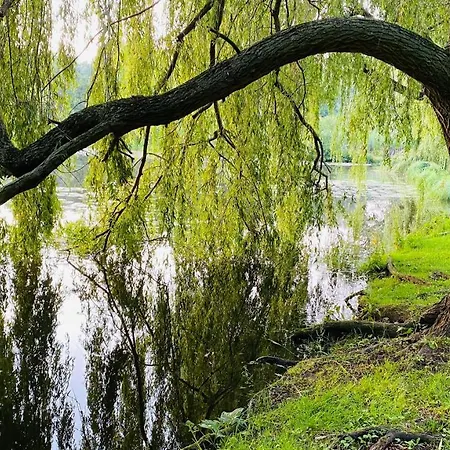 Salzoasen Διαμέρισμα Bad Schwartau
