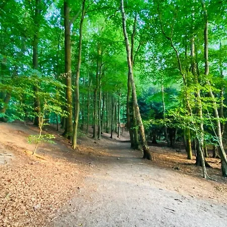 Salzoasen Bad Schwartau