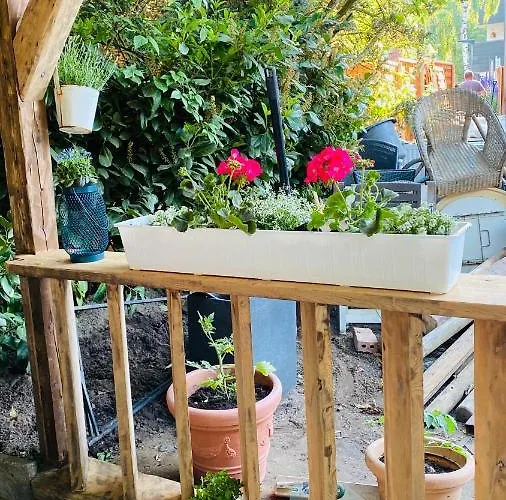 Appartement Salzoasen *